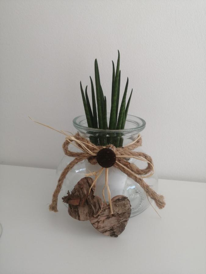 Apartma Pinea Порторож Екстериор снимка